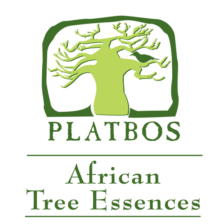 africanessence_logo